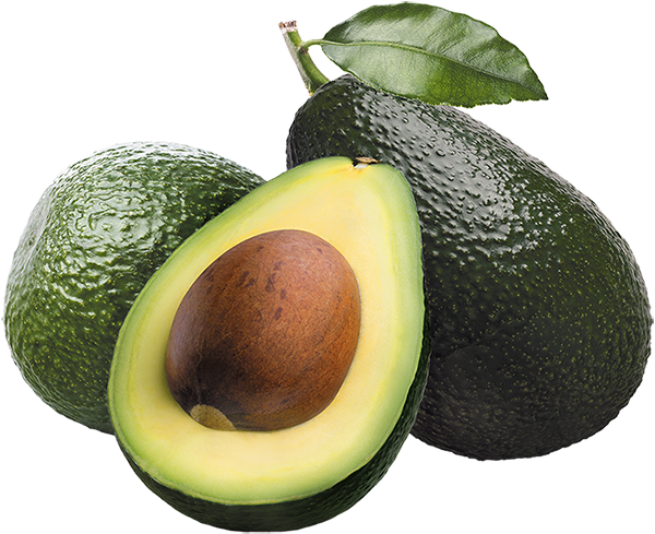 avocado avocado